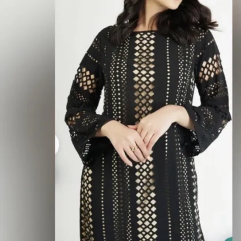 Pakistani indian DESIGNER Shalwar Kameez - 2 pieces-